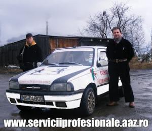 Servicii de coserit